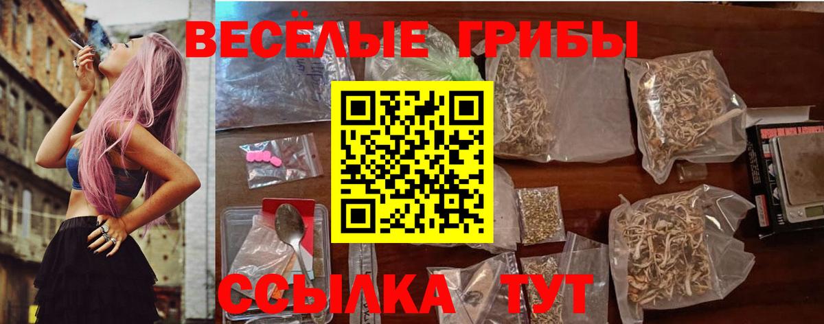 Галлюциногенные грибы GOLDEN TEACHER Коряжма