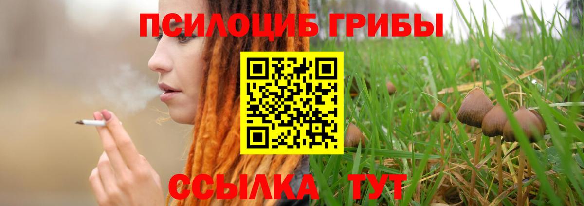 Псилоцибиновые грибы ЛСД  Псилоцибиновые грибы Psilocybine cubensis  Вход с VPN  купить закладку  Коряжма 